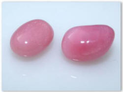 Queen Conch Shell Pink Pearls