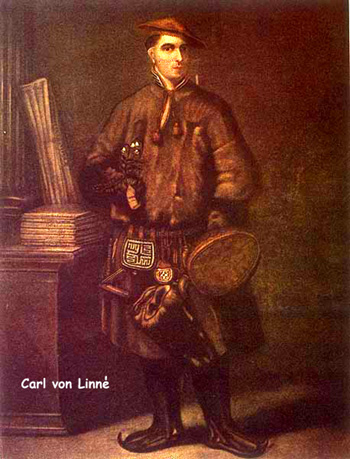 CARL VON LINNE