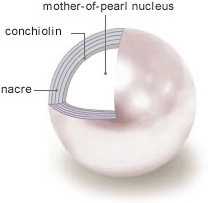 pearl luster